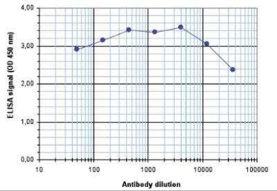 ELISA: Histone H3 [Trimethyl Lys36] Antibody [NBP2-54611]